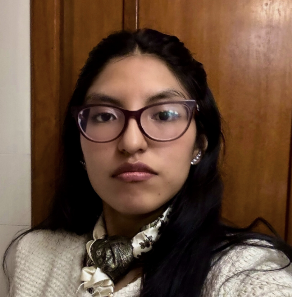 Karen Dagianna Paredes Choque